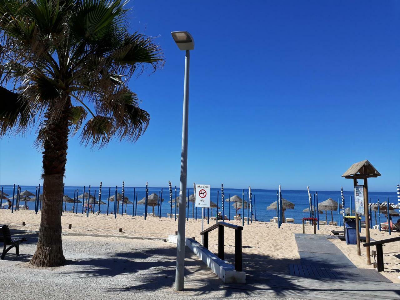 Abmar- Por-do-sol, Vista Mar, Remodelado, Wifi, 80mt *